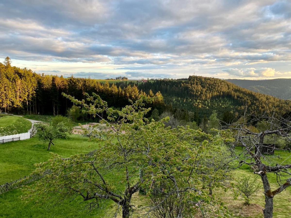 Ferienhaus Mit 5* Luxus Im Schwarzwald Gemeinde Gemeinde Aichhalden Zewnętrze zdjęcie