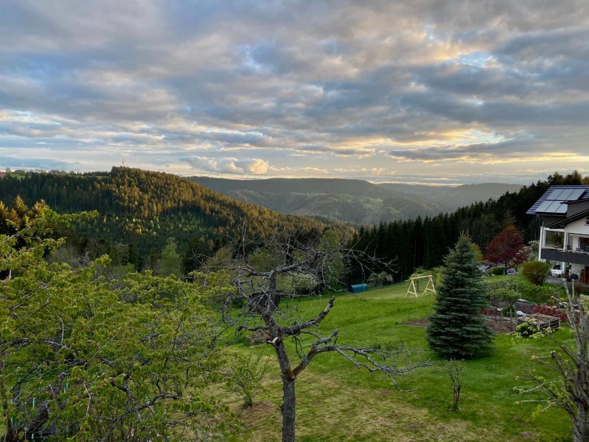 Ferienhaus Mit 5* Luxus Im Schwarzwald Gemeinde Gemeinde Aichhalden Zewnętrze zdjęcie